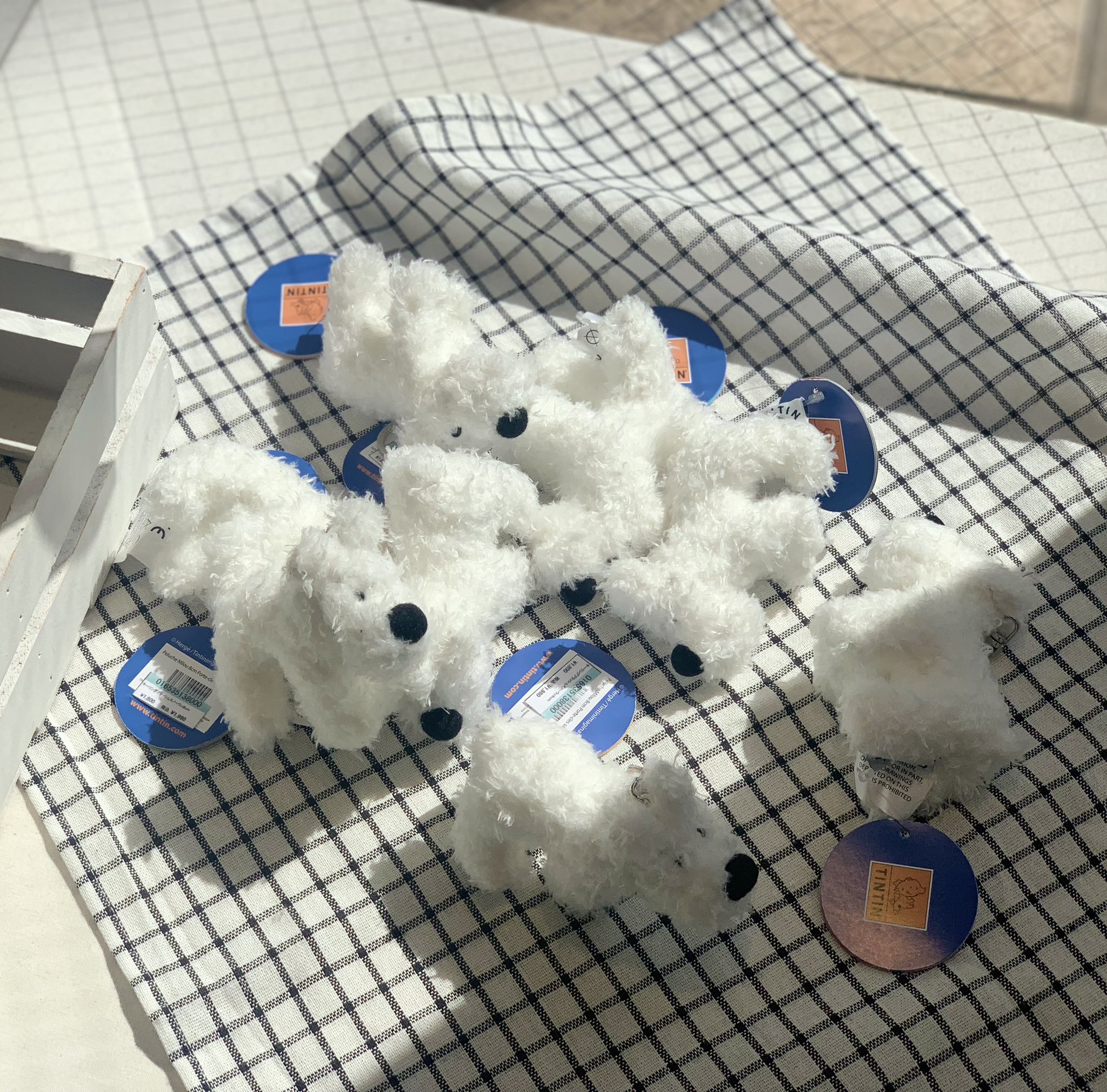 TINTIN JAPAN（公式） (@TINTIN_JAPAN) / X