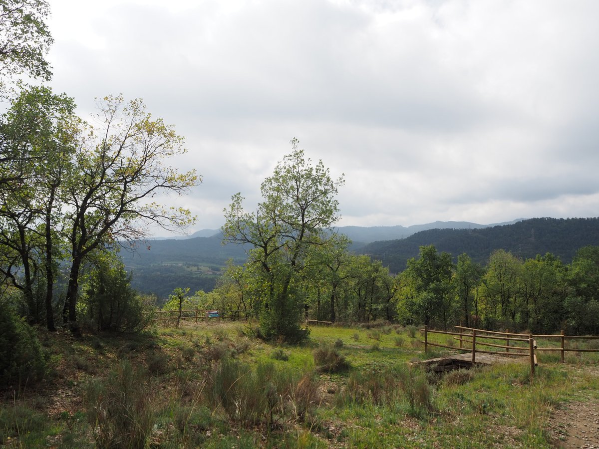 ☀️Bon dia amb el #patrimonidestiu!
Al Parc del #CastellMontesquiu (#Osona) trobareu rouredes ben fresques i un castell medieval que domina el Ter. 
S’hi poden realitzar activitats per lliure o dirigides!!
✅patrimonicultural.diba.cat/element/parc-d…
<a href="/AjMontesquiu/">Aj. Montesquiu</a> <a href="/xarxadeparcs/">Xarxa de Parcs Naturals</a> #patrimonideldia