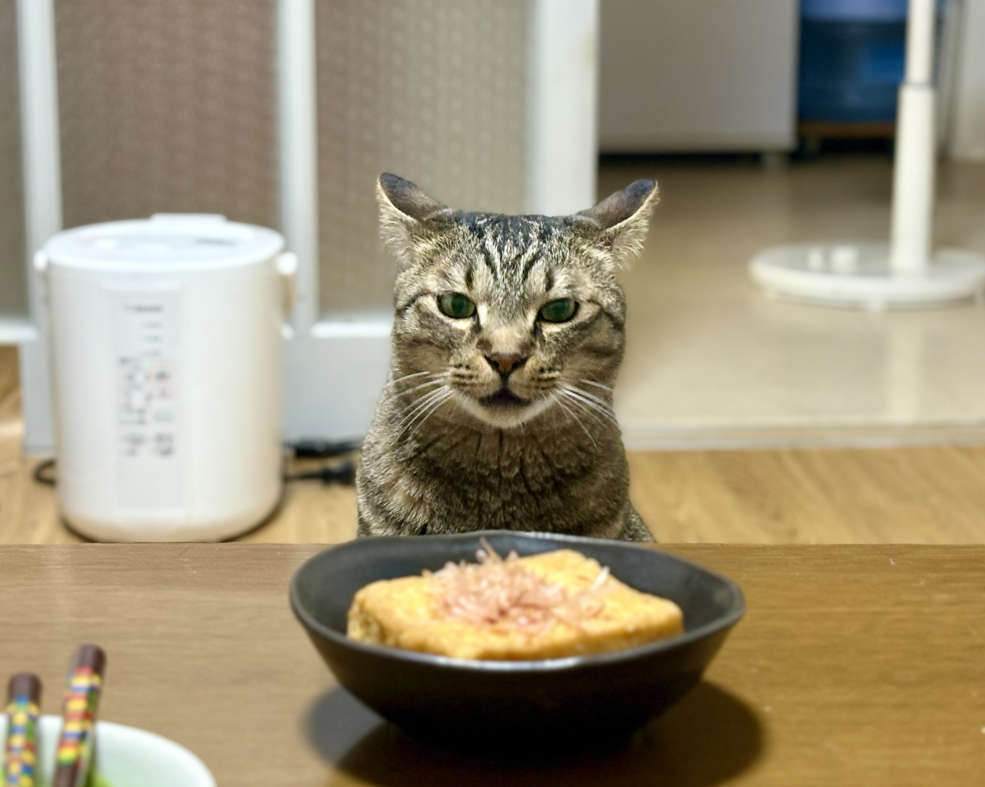 ネコハチさま専用　 おまとめ20点 ネコハチさま専用 おまとめ20点 ちとせ on X: