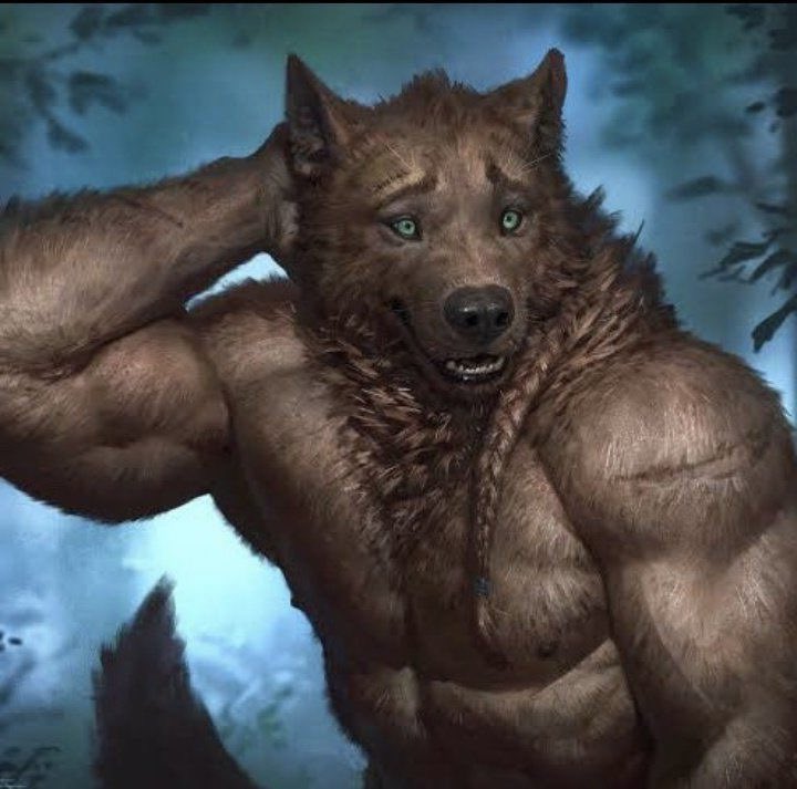 เห็นละนึกถึง55555455555555554455555555555555555555555555 ฮีเป็นหมาป่าเดียวดาย