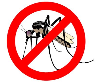 Ataul Khan (@ataulkhan09) on Twitter photo Mosquito Increase,So Fogging & Larval Treatment Spraying Needed
#Location: Ward 188 Sethwadi And Near By Area Dharavi Main Road Dharavi Mumbai-17
<a href="/mybmcWardGN/">WARD GN BMC</a> <a href="/mybmc/">माझी Mumbai, आपली BMC</a> <a href="/mybmcHealthDept/">MCGM Health Department</a> Mosquito Increase,So Fogging & Larval Treatment Spraying Needed
#Location: Ward 188 Sethwadi And Near By Area Dharavi Main Road Dharavi Mumbai-17
<a href="/mybmcWardGN/">WARD GN BMC</a> <a href="/mybmc/">माझी Mumbai, आपली BMC</a> <a href="/mybmcHealthDept/">MCGM Health Department</a>