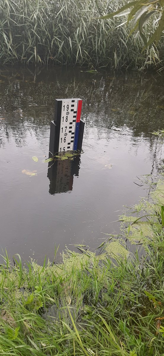 RZGWWarszawa's tweet photo. 🌊Sytuacja na zbiornikach przeciwpowodziowych na terenie #RZGWwWarszawie na dzień 29.07.2025 r. jest stabilna i na bieżąco monitorowana. #StopPowodzi 
🌐 Zachęcamy do zapoznania się z aktualną sytuacją hydro-meteorologiczną na terenie RZGW w Warszawie: https://t.co/7xGqiiQYea https://t.co/HHinG8BGHL