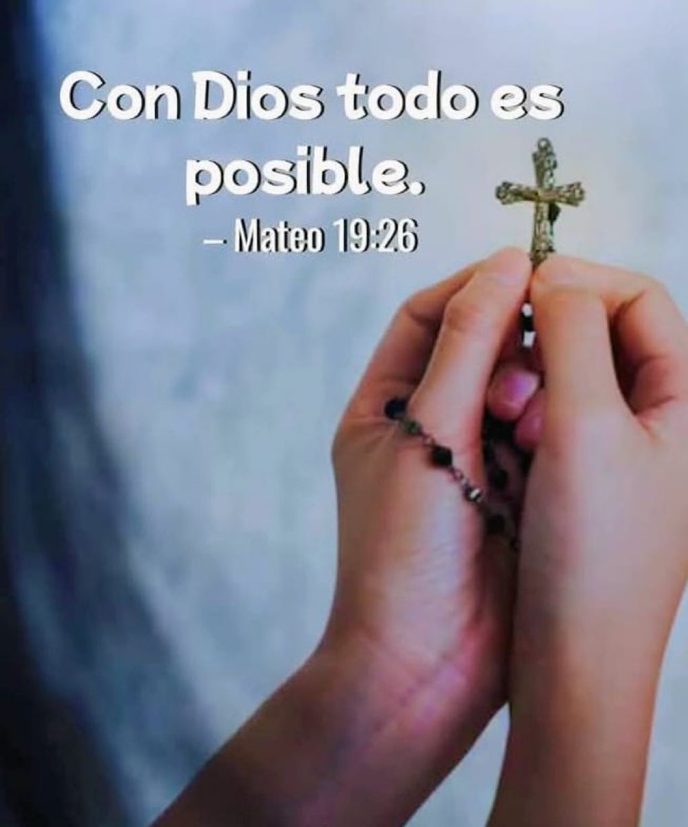 ingenieria sn (@ingenieriasn) on Twitter photo 
