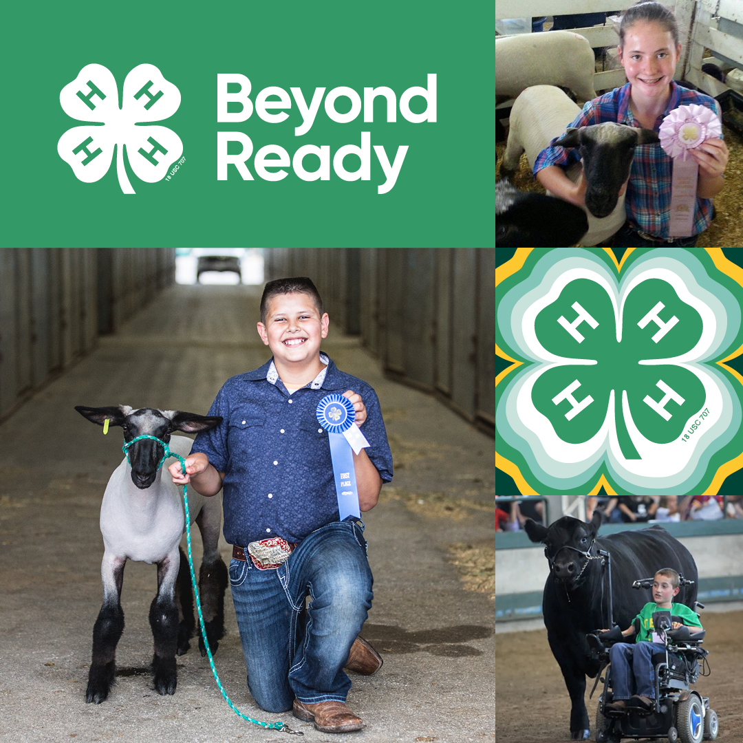 🎡🐄 4-H FAIR SEASON VIBES ARE HERE! 🏆🚜

From blue ribbons to big career dreams, <a href="/4H/">4-H</a> Fair Season is more than funnel cakes and show rings. It’s where grit, growth, and leadership take center stage.

We’re proud to support these unstoppable young leaders. 💚