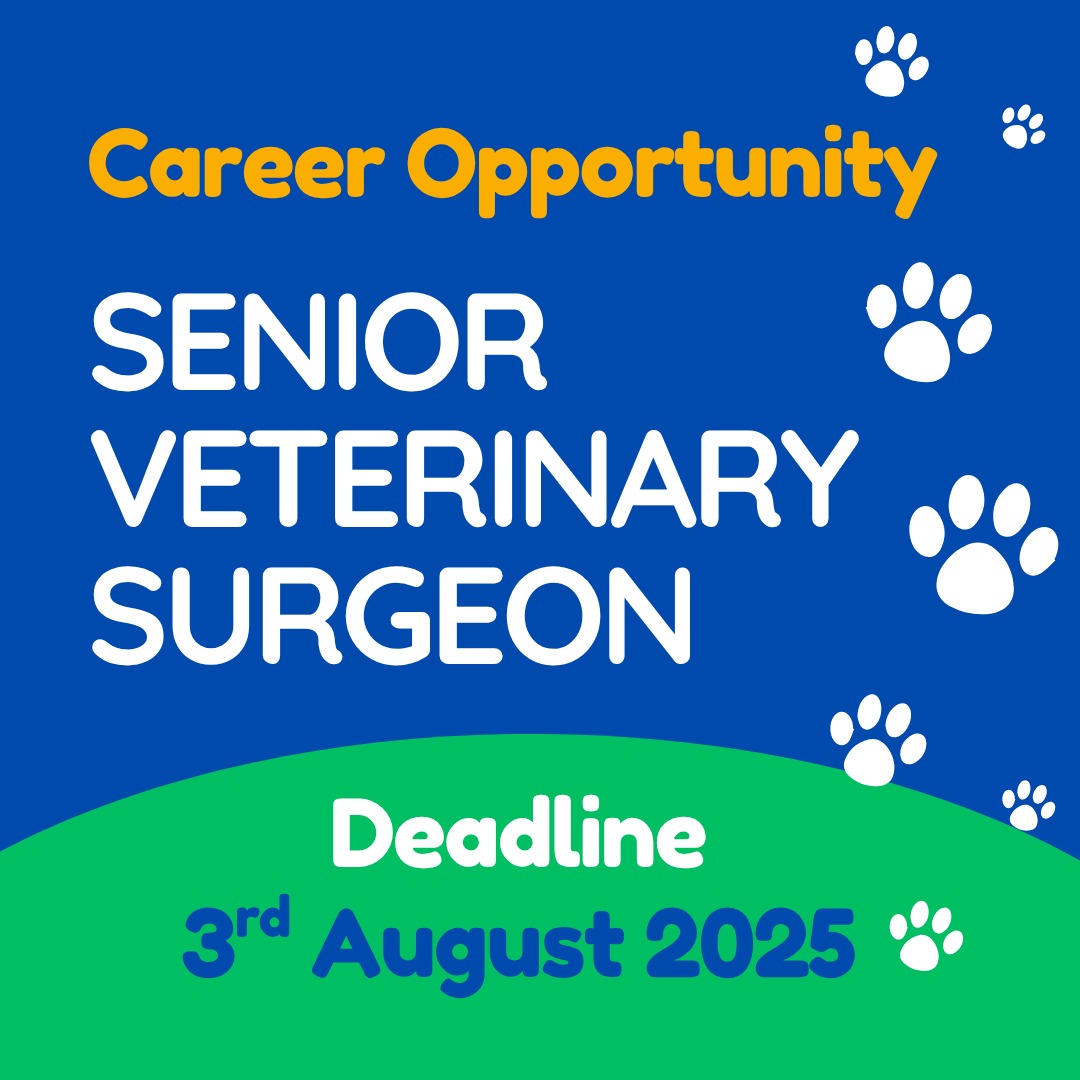 Career Opportunity 📢
We’re hiring a Senior Veterinary Surgeon to join our team at the forefront of animal rescue and welfare. If you have experience in surgical procedures, emergency care, and a passion for helping the voiceless—this role is for you.

📅 Deadline: 3rd August