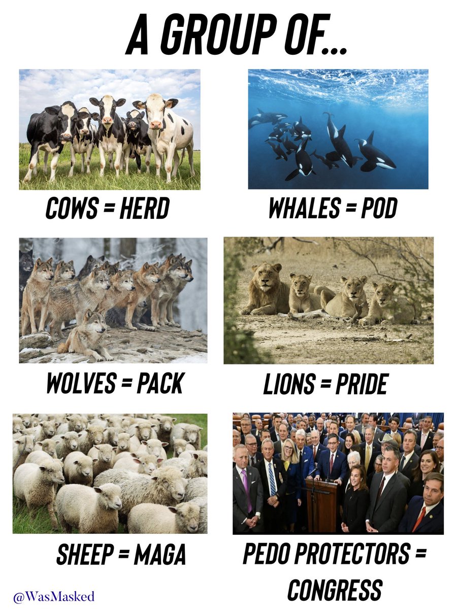 <a href="/patriottakes/">PatriotTakes 🇺🇸</a>