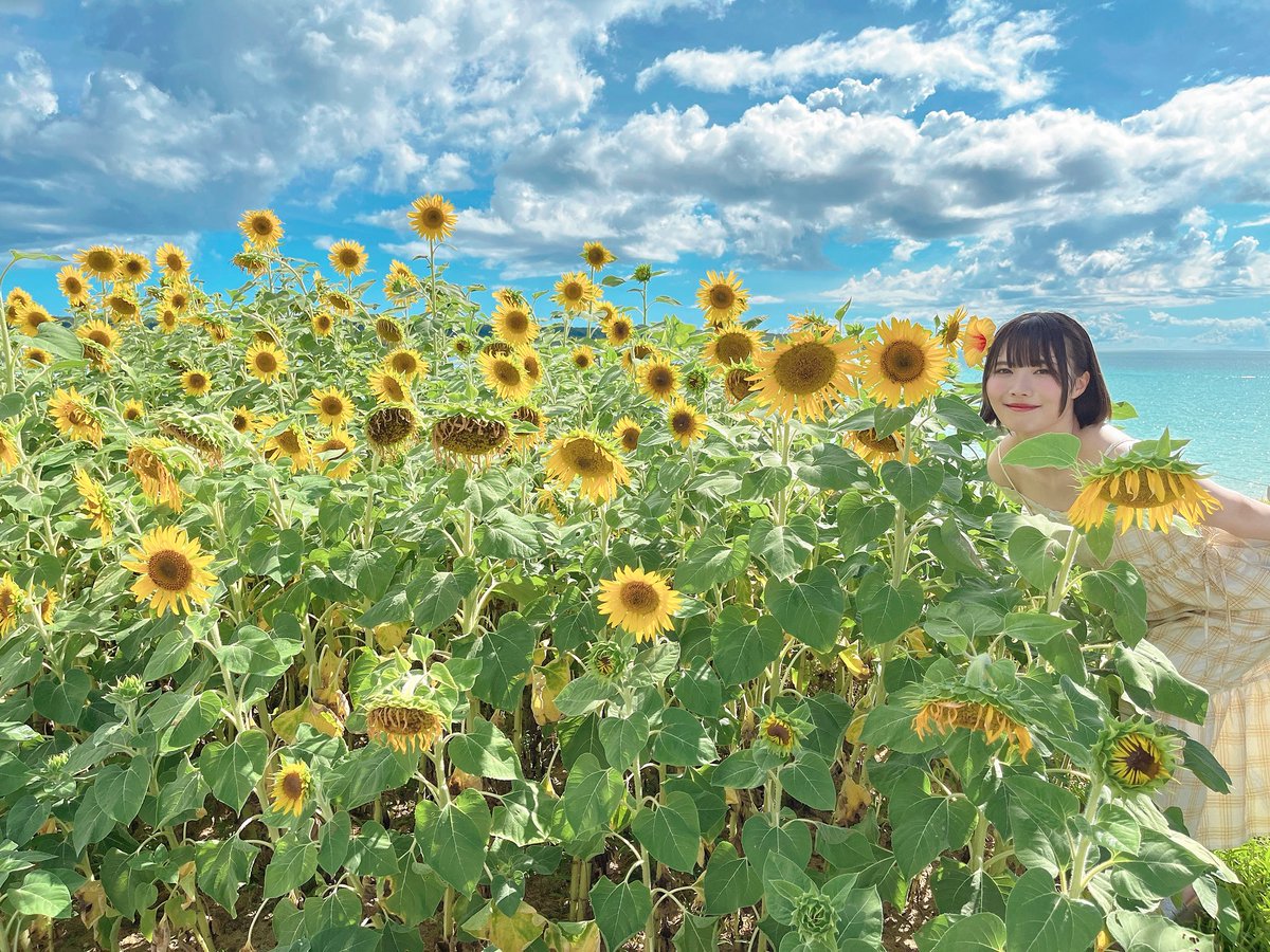 🌻