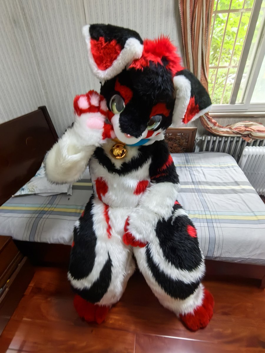 #FursuitFriday
可爱可爱