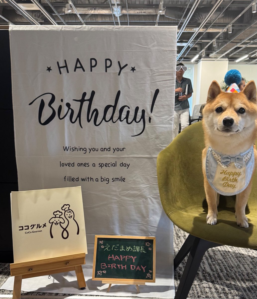 えだまめくん 豆柴えだまめくん (@edamamekun_0728) / Posts / X