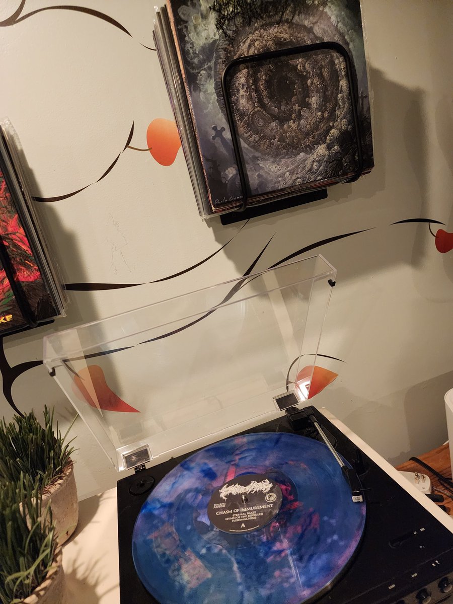 The album delivers what the artwork promises

carbonizedrecords.bandcamp.com/album/chasm-of…