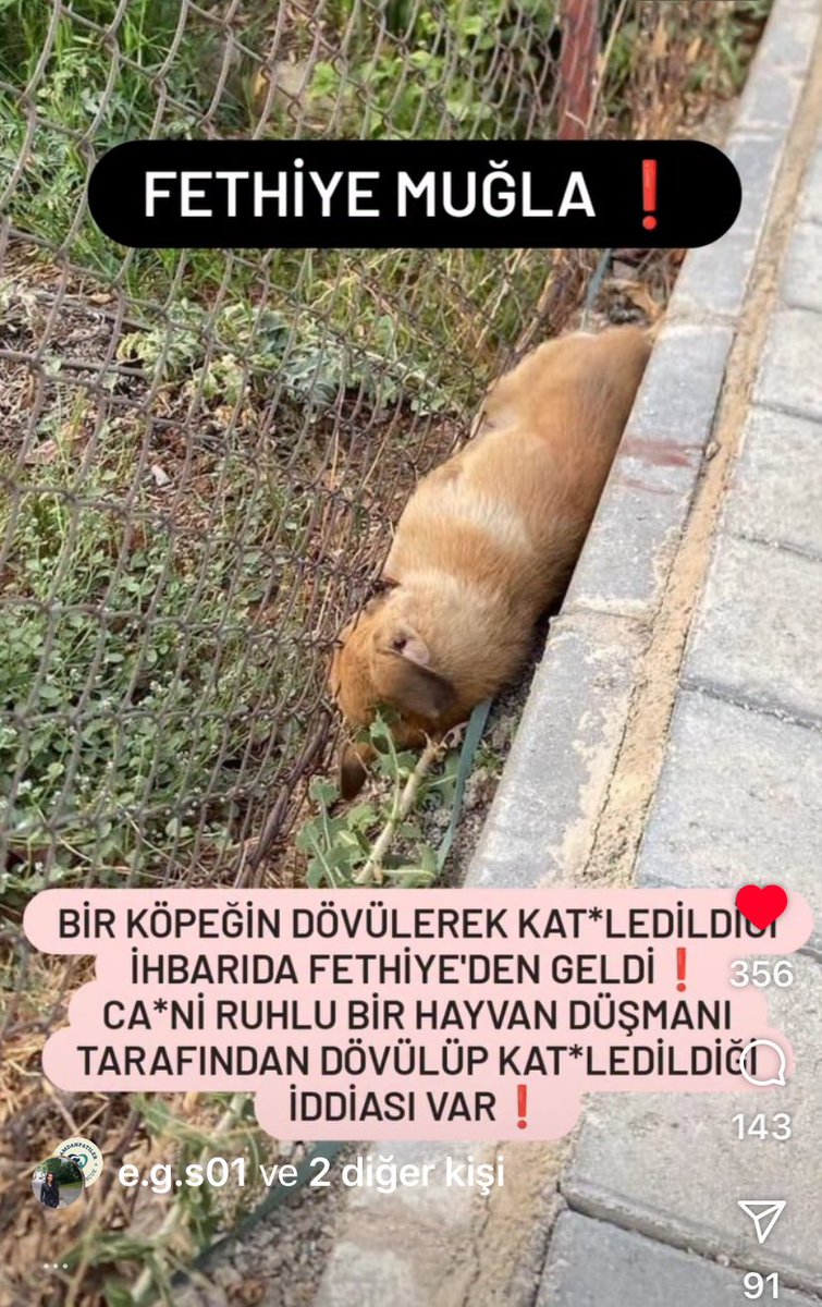 UzayMekanİnsan (@ku_ayd) on Twitter photo <a href="/GundemFethiye/">Gündem Fethiye</a> <a href="/alimkaraca48/">Alim Karaca</a> <a href="/fethiyebelediye/">Fethiye Belediyesi</a> <a href="/Fethiyekonseyi/">Fethiye Kent Konseyi</a> <a href="/fethiyegovtr/">Fethiye Kaymakamlığı</a> Bu köpeği döverek öldüren adamı tutuklamak yerine olayı kapattığınız doğrumu sayın Karaca⁉️⁉️⁉️⁉️ <a href="/GundemFethiye/">Gündem Fethiye</a> <a href="/alimkaraca48/">Alim Karaca</a> <a href="/fethiyebelediye/">Fethiye Belediyesi</a> <a href="/Fethiyekonseyi/">Fethiye Kent Konseyi</a> <a href="/fethiyegovtr/">Fethiye Kaymakamlığı</a> Bu köpeği döverek öldüren adamı tutuklamak yerine olayı kapattığınız doğrumu sayın Karaca⁉️⁉️⁉️⁉️