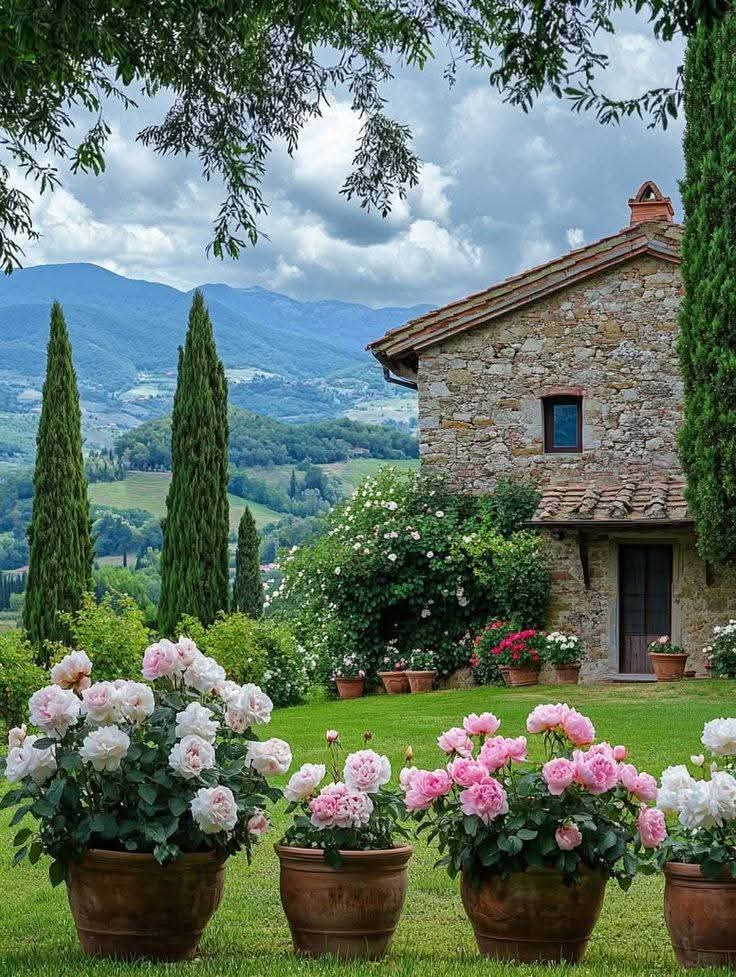 René Champion (@renechampion1) on Twitter photo 