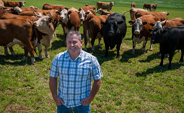 “ I love watching the cattle graze peacefully on these beautiful pastures right on the shore of Prince Edward Island. There’s nothing like it to help us relax after a long, hard day. ”

Ashley Wood
Cherry Valley, PEI
ABPI Beef Producer

#PEIBeef #IslandBeef #SustainableBeef