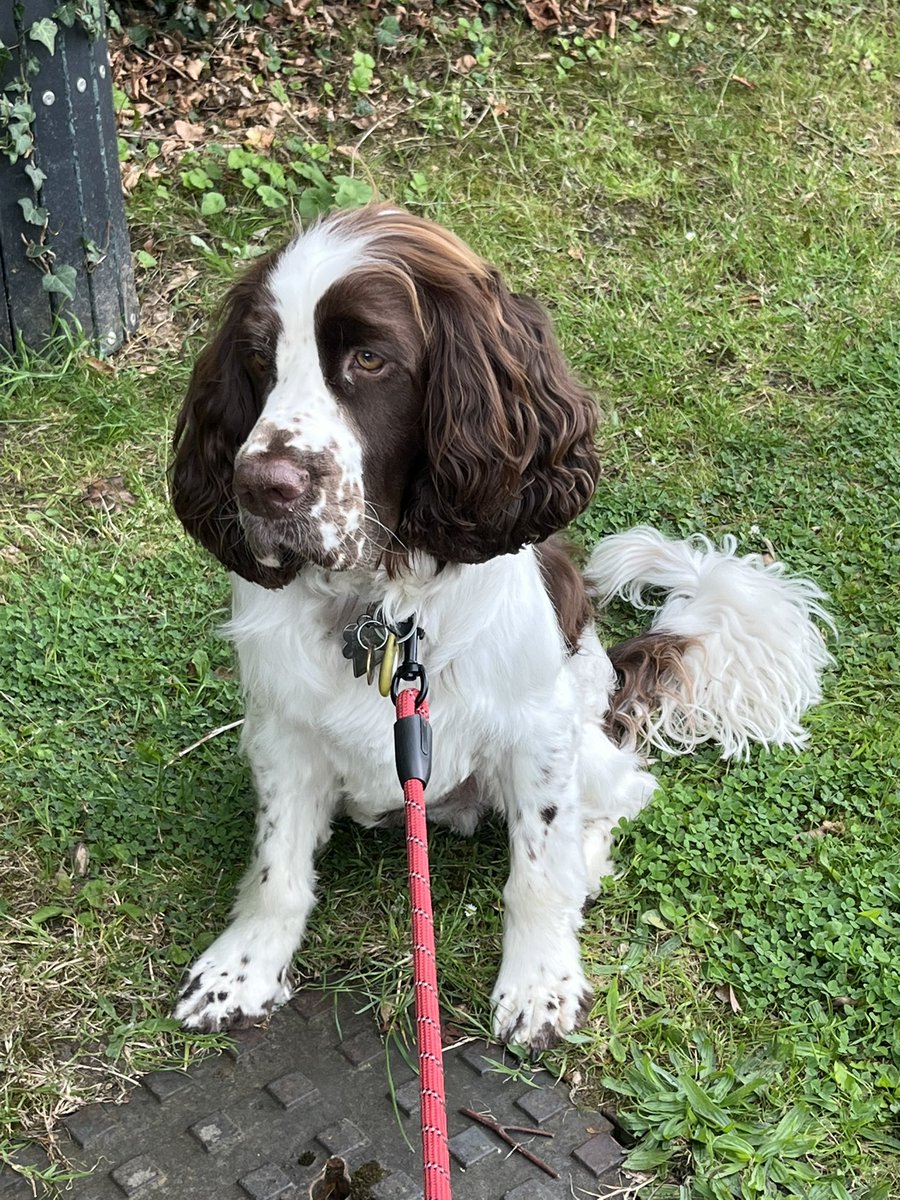 Went around the village at lunchtime with M decided to have a sit down part way around. 

Hope your day is going well