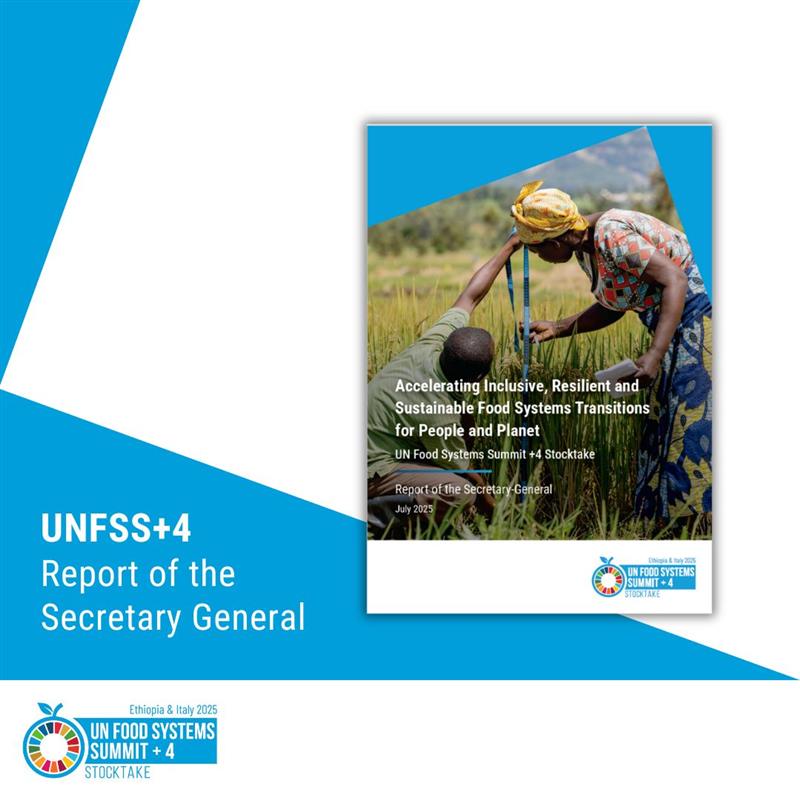 🚨 The #UNFSS2025 Report of the UN Secretary-General is out!

📌 112 countries submitted progress reports in 2025, showing growing momentum.

🌍 But scaled-up, coordinated action is urgently needed to transform #FoodSystems by 2030.

Read more 👉 bit.ly/4lOOgho