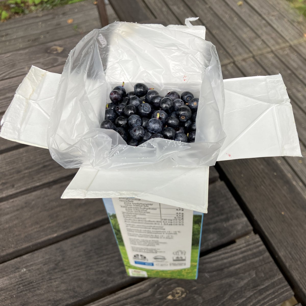 Latupeikko's tweet photo. #Niksi, josta muovisten pakastusrasioiden valmistajat eivät tykkää😁: Huuhdeltu maitopurkki ja sen sisään pakastuspussi + sulkijalla kiinni. Pinoutuvat pakastimeen nätisti, eikä talven edetessä tarvitse tuskailla tyhjien rasioiden säilytyksen kanssa. Ei oma ideani vaan tätini❤️ https://t.co/2Avq63J9cb