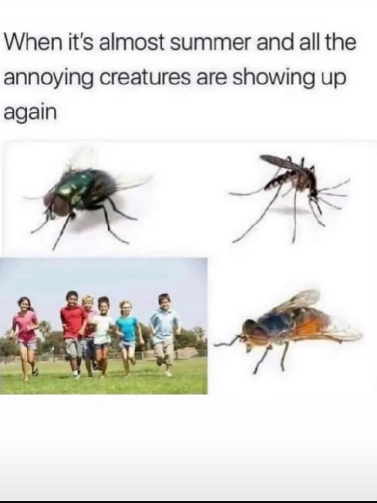 🤣🤣😤...