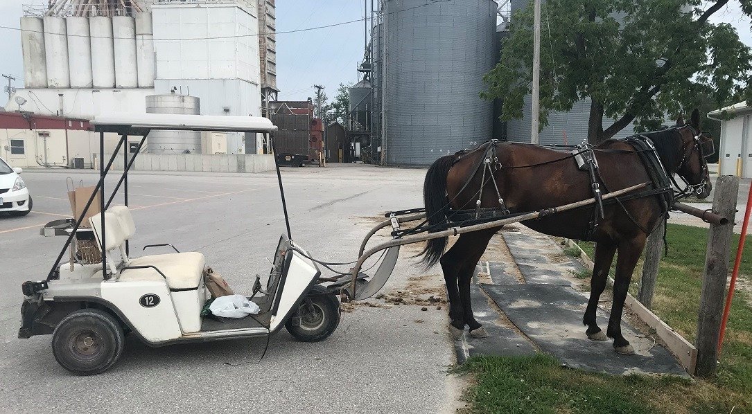 Only in Kalona!