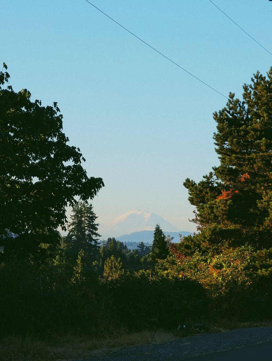 Another 2 miles logged ✅ 

And Mountain is out! <a href="/MtRainierWatch/">David at RW HQ - Is The Mountain out? 🏔</a>