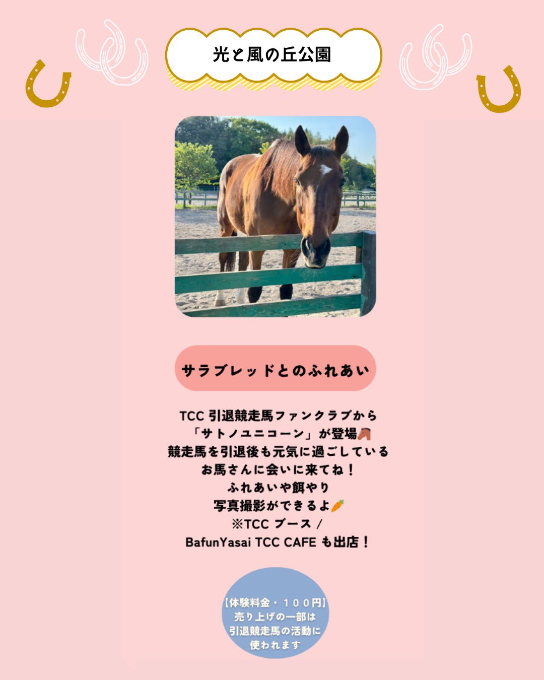 グルングルン、他の人は買わないで！ 買わないって決めたのに - Search / X
