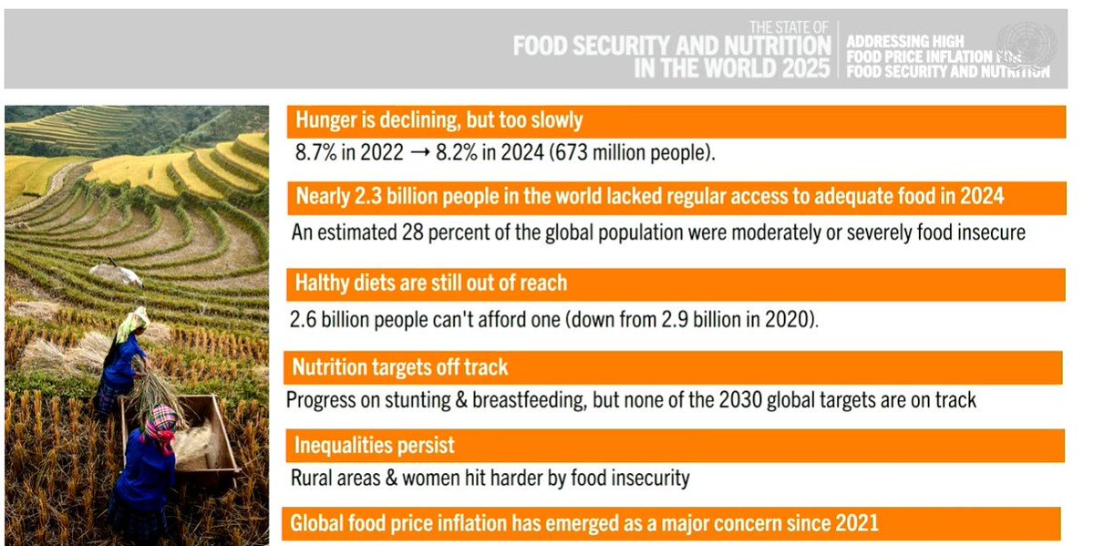 wamasters's tweet image. This week's launch of #SOFI2025 marks the 4th annual update of global diet cost and affordability data, used by UN agencies and national governments as a clear and actionable new metric of global food security.
Direct link to the report is here:
openknowledge.fao.org/server/api/cor…