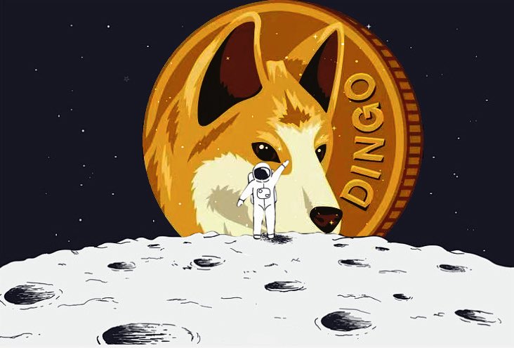 dingocoincrypto's tweet image. More to come! 
And stay tuned!😉

#BTC #DOGE #ETH #BNB #SOL