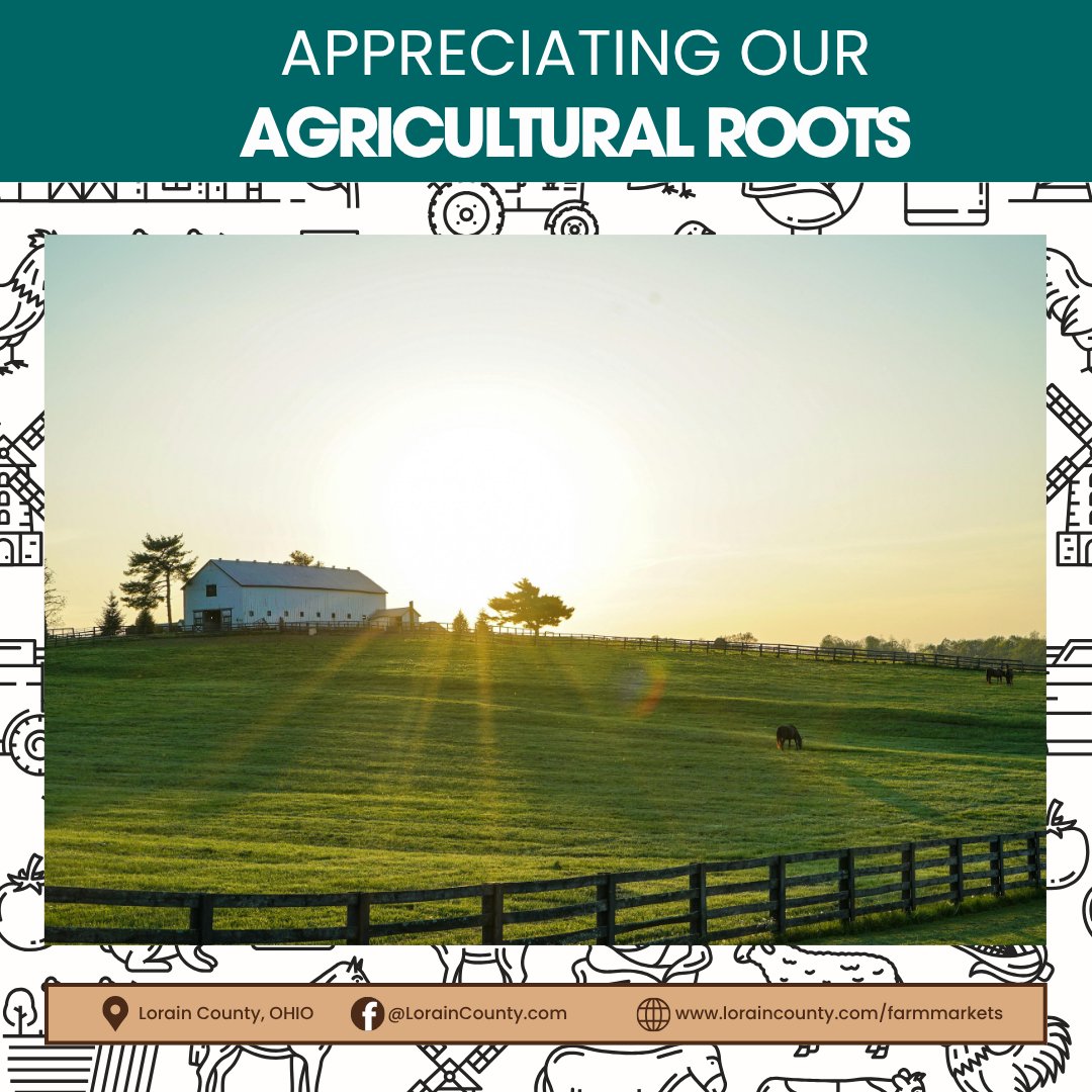 loraincounty tweet media