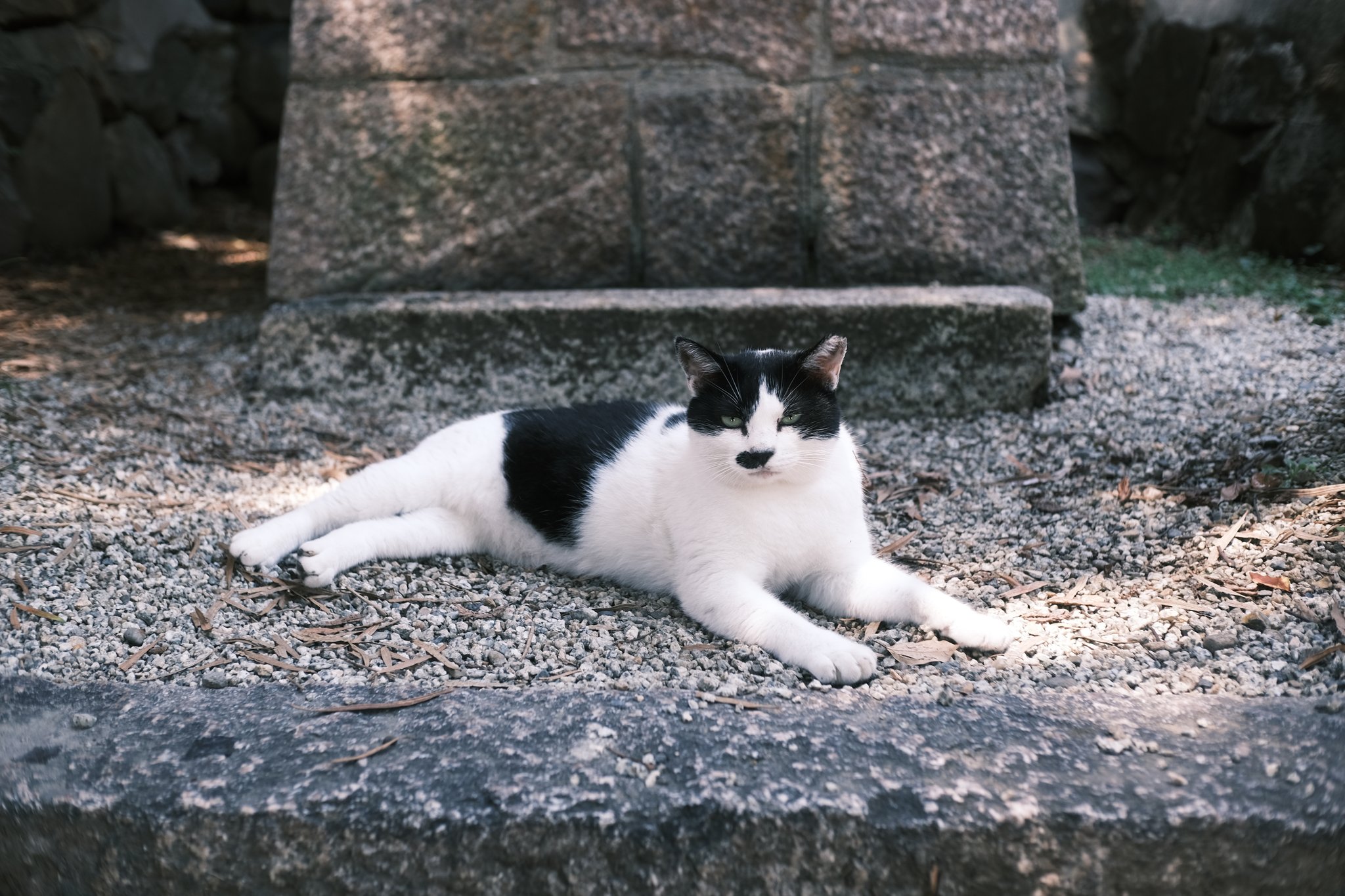 佐藤健 2016-2019Anniversary 2024 Kawasaki ZX1400, J | JKBZXNJ19RA019554 | BidCars