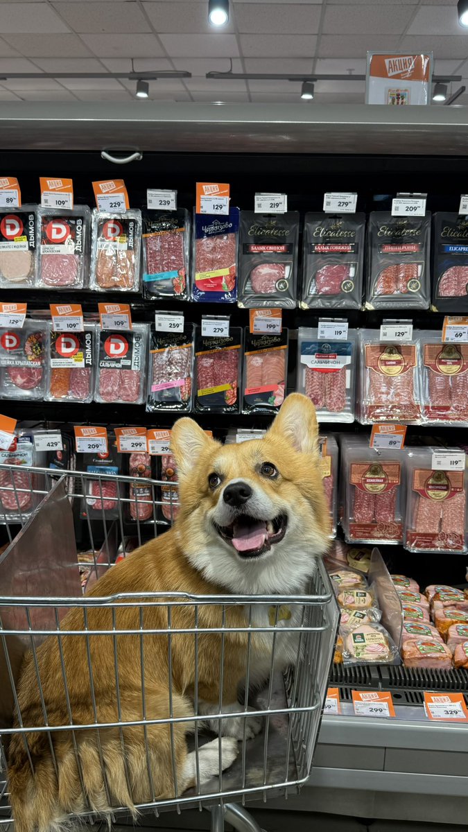 Главный директор по мяскам и колбаскам