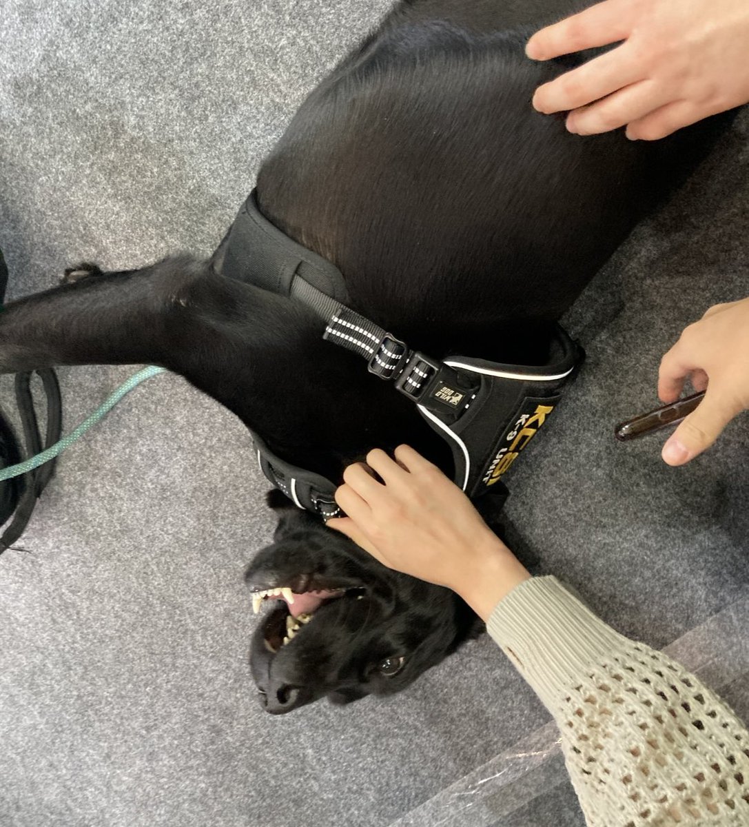 🎨익명의 자료계 tweet media