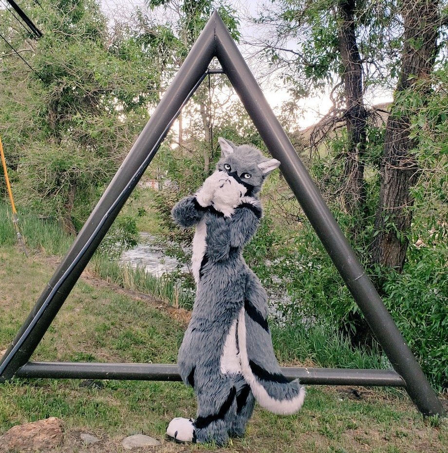 You encounter a wolf on your morning stroll. He appears... Bashful? 🤔

#fursuit #furryfandom