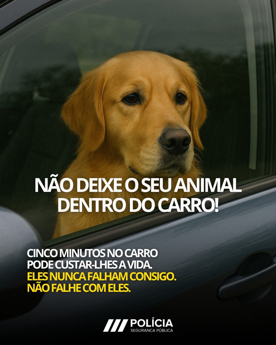 Dentro do carro, NÃO!
Mesmo com o vidro entreaberto, a temperatura sobe rapidamente.
Eles confiam em si para os proteger, não os traia.
#semprepresente