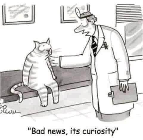 Jokerswild (@jokerswilduk) on Twitter photo 