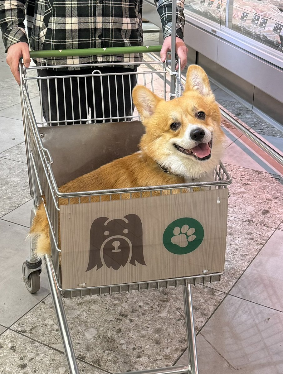 3 месяца / 3 годика