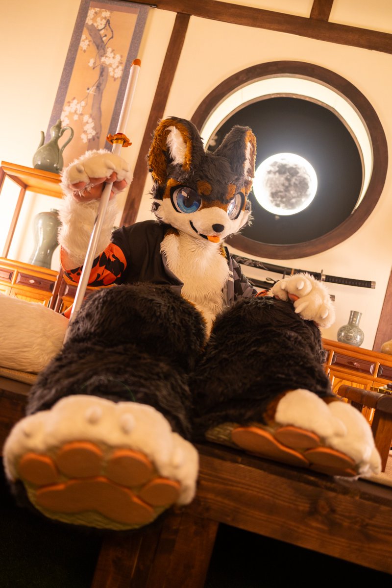 #FursuitEveryday 
📷<a href="/biche_fur/">비케/호밀이</a>