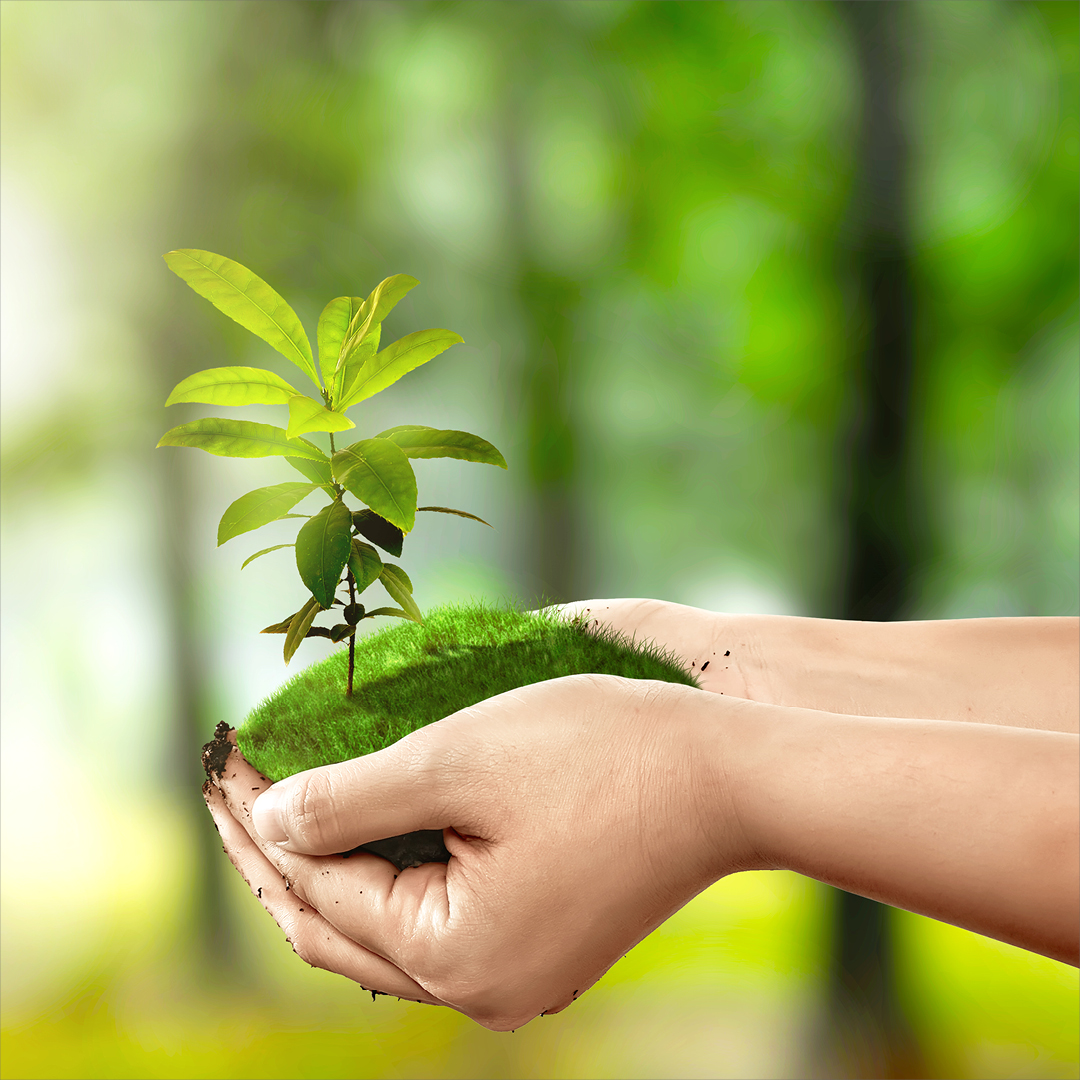 Go paperless with Customer Advantage! Sign up today to access the freedom and flexibility of e-billing plus many other easy, self-serve functions.

Learn more or sign up today at: apexutilities.pulse.ly/dguovgm7tx