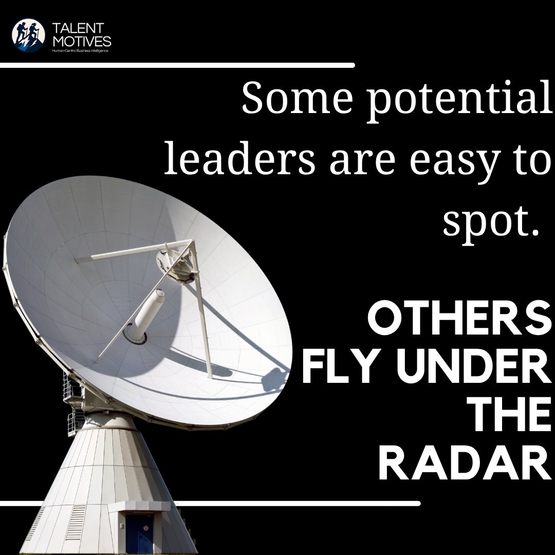 Many future leaders are overlooked because they don’t “fit the mold.”

Sherpa by TalentMotives uses Motivation DNA to uncover hidden leadership potential—so you can build pipelines with purpose.

👉 hubs.ly/Q03z5J5y0

#LeadershipDevelopment #MotivationDNA #HRTech