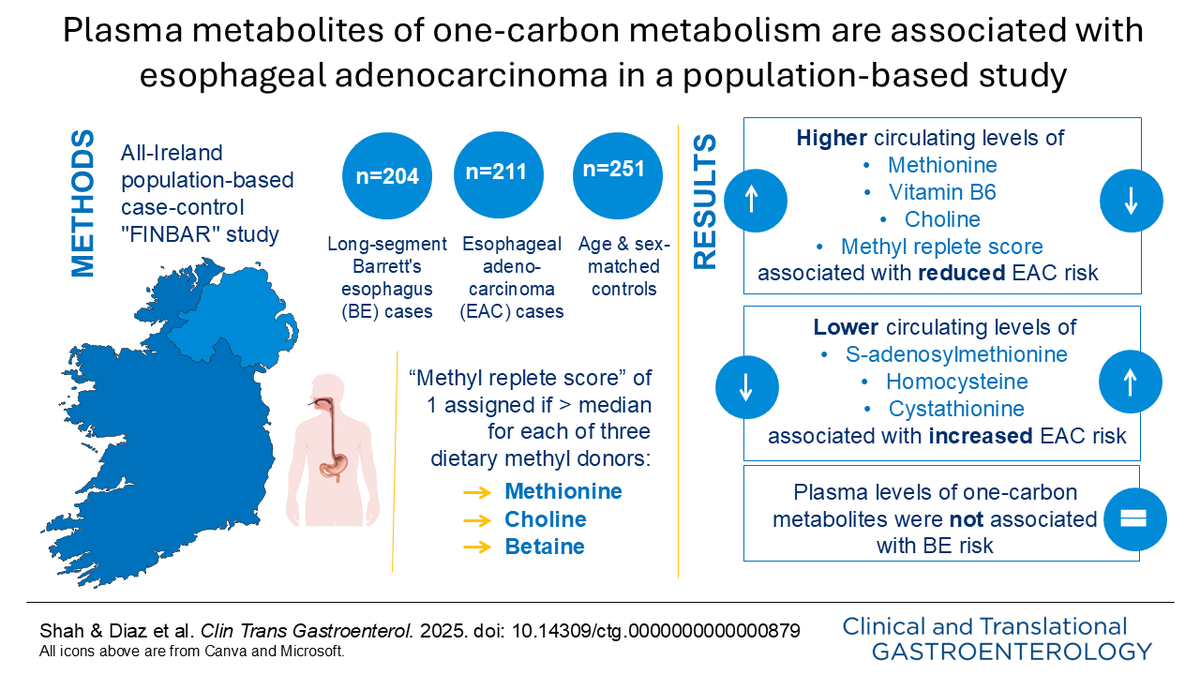 ACG_CTG (@acg_ctg) on Twitter photo Plasma Metabolites of One-Carbon Metabolism Are Associated with Esophageal Adenocarcinoma in a Population-Based Study
Shah & Diaz, et al.
➡️ doi.org/10.14309/ctg.0…
<a href="/ShailjaShahMD/">Shailja Shah, MD MPH</a> <a href="/GrahamAnderLes/">Prof Lesley Anderson</a> <a href="/HelenColemanQUB/">Prof Helen Coleman</a> <a href="/AmCollegeGastro/">ACG</a> <a href="/brianjacobsonmd/">Brian Jacobson</a> Plasma Metabolites of One-Carbon Metabolism Are Associated with Esophageal Adenocarcinoma in a Population-Based Study
Shah & Diaz, et al.
➡️ doi.org/10.14309/ctg.0…
<a href="/ShailjaShahMD/">Shailja Shah, MD MPH</a> <a href="/GrahamAnderLes/">Prof Lesley Anderson</a> <a href="/HelenColemanQUB/">Prof Helen Coleman</a> <a href="/AmCollegeGastro/">ACG</a> <a href="/brianjacobsonmd/">Brian Jacobson</a>