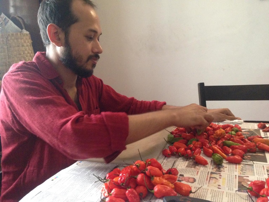 "Playing with Fire"
#Pickling