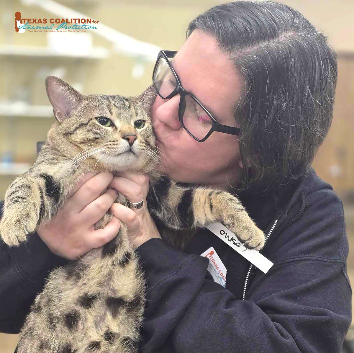 TCforAP's tweet image. Come see us at TCAP to take advantage of our 'Premium Feline Vaccine Package' for just $35!😸

⏰Calendar: ow.ly/ZPbk50WuJCP

#PetLoversFirst #TCAPRocks #TexasForThem #NeuterIsCuter #TCAPSpayNeuter #DFWSpayNeuter #LowCostPetCareDFW #DallasPetWellness