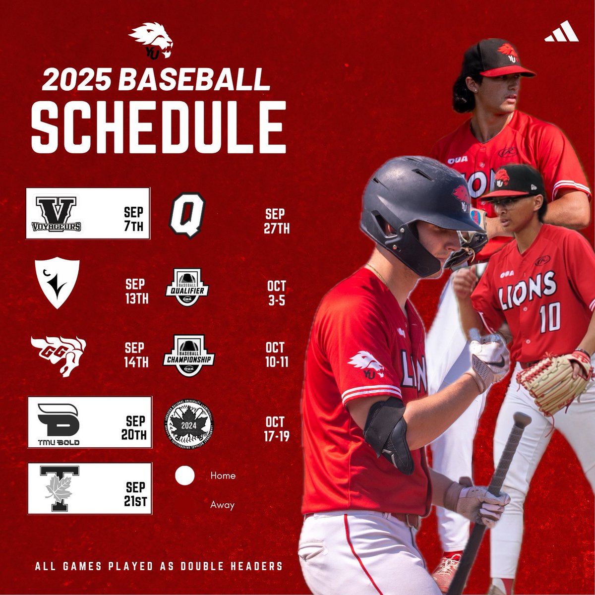 York Lions Baseball tweet media