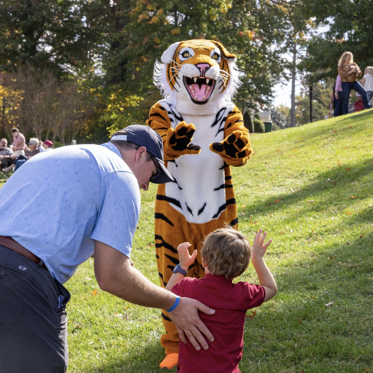 We’re proud to roar a little louder today—it's #InternationalTigerDay! 🐅 Here’s to the best mascot around and the heart of our Hampden-Sydney spirit.