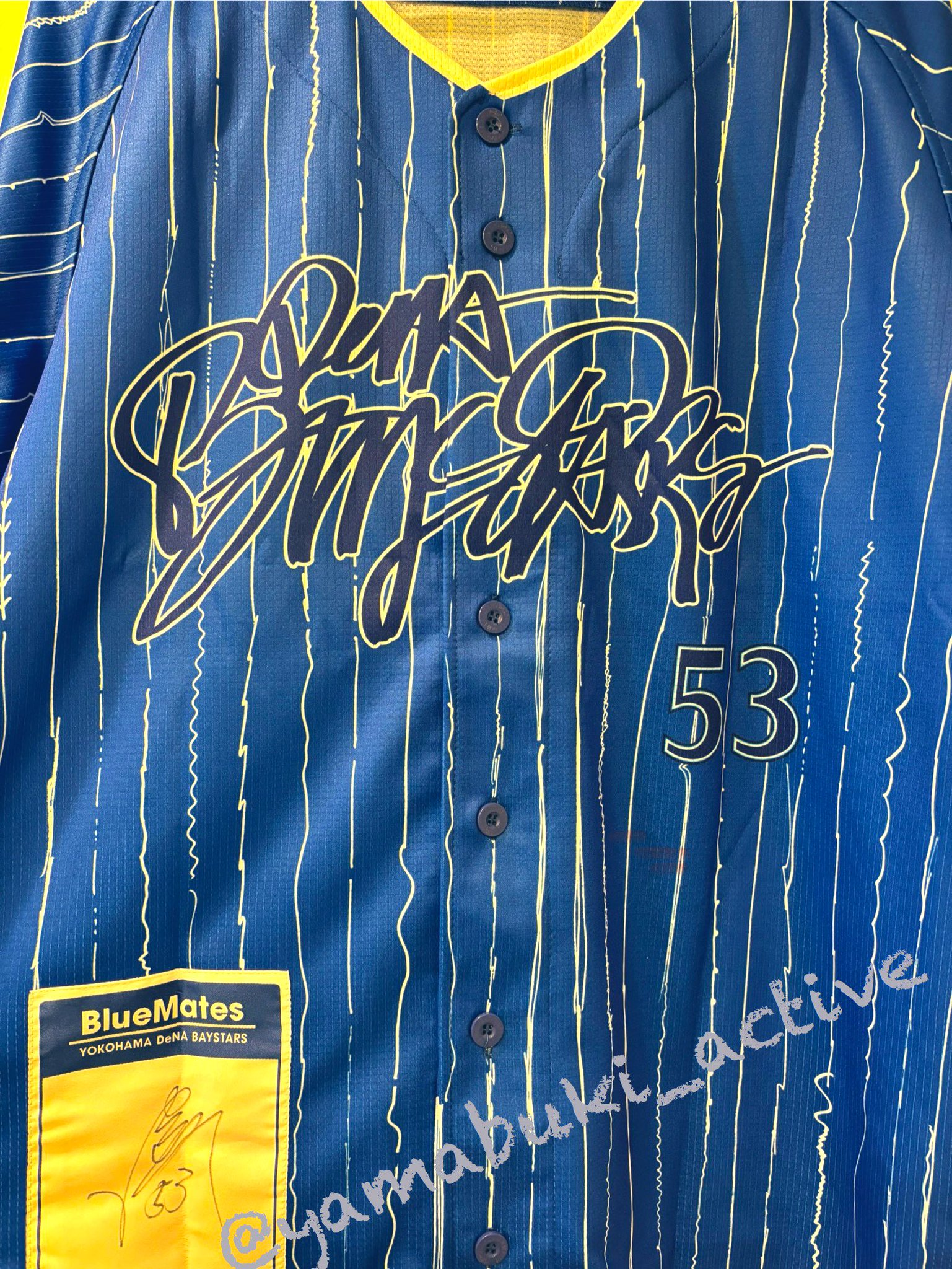 ベイスターズ　BlueMates 限定　中川颯　サイン入り　ユニフォーム ヤマブキ(⚾️と🐈‍⬛) on X: 