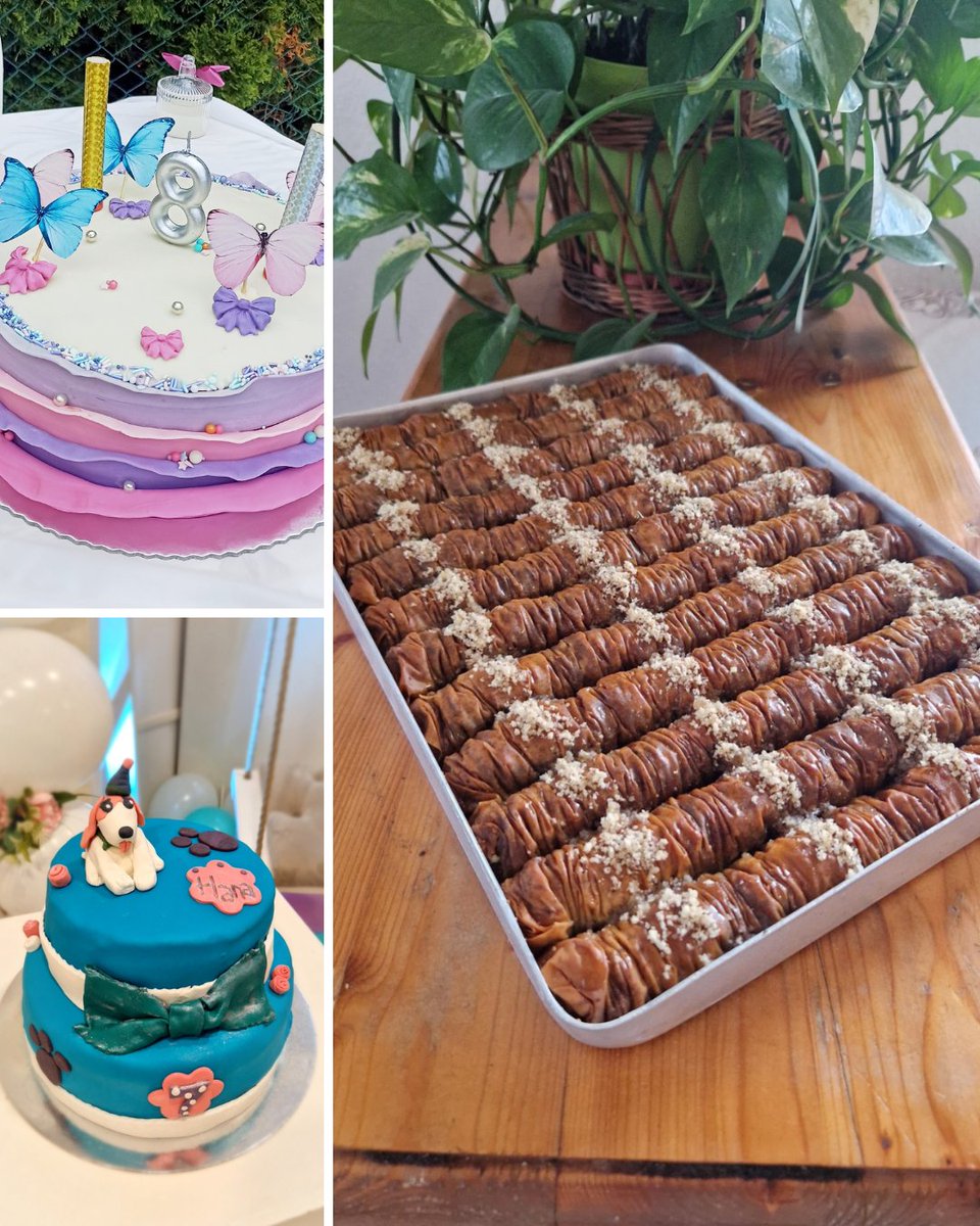 Employee Highlight!
"I'm a student mentor in Sarajevo and a former Jericho scholarship recipient. I love sharing my experiences &amp; hearing students’ good news. It’s rewarding to feel appreciated in their journey." When she's not working, she loves baking for her friends &amp; family.