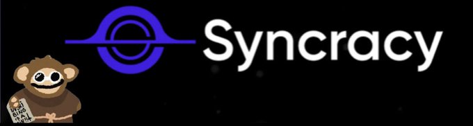 猿とブランド名が描かれたSyncracy Capitalのロゴ