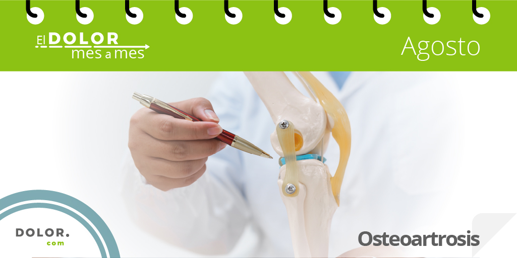 🤔 ¿Conocías que la #osteoartrosis es la enfermedad articular más común?
🦴 Afecta al cartílago, ese tejido que amortigua nuestras articulaciones, causando #dolor y limitación. Es clave entenderla para un mejor manejo. #ElDolorMesAMes
