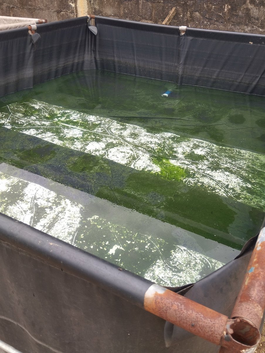 Sinnermann 🫠 tweet media