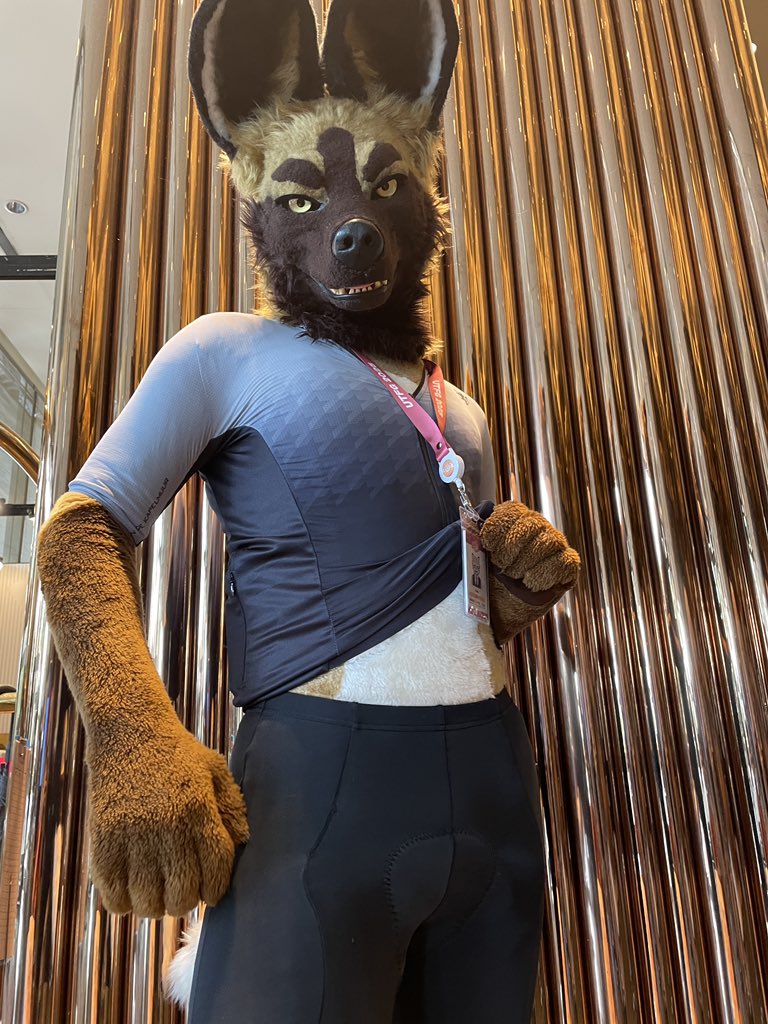 YukiShelby's tweet image. Wild dog tummy
（📷 @shiba_daichi )