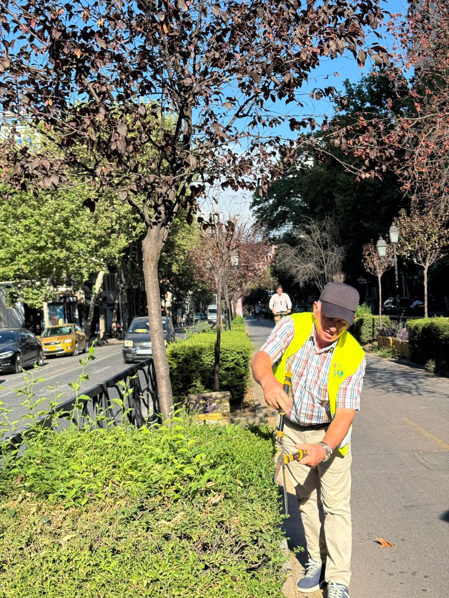 Sërish sot, ndodhemi 👷🏻‍♂️👷🏻‍♀️në "Rrugën e Kavajës ", në një ndër rrugët më të njohura 🤩në qytet,  duke u kujdesur plotësisht nëpërmjet disa proçese pune. ●Krasitje ✂️🌿●Pastrim🧹 ●Vaditje💦 #DrejtoriaePërgjithshmeePastrimGjelbërimit