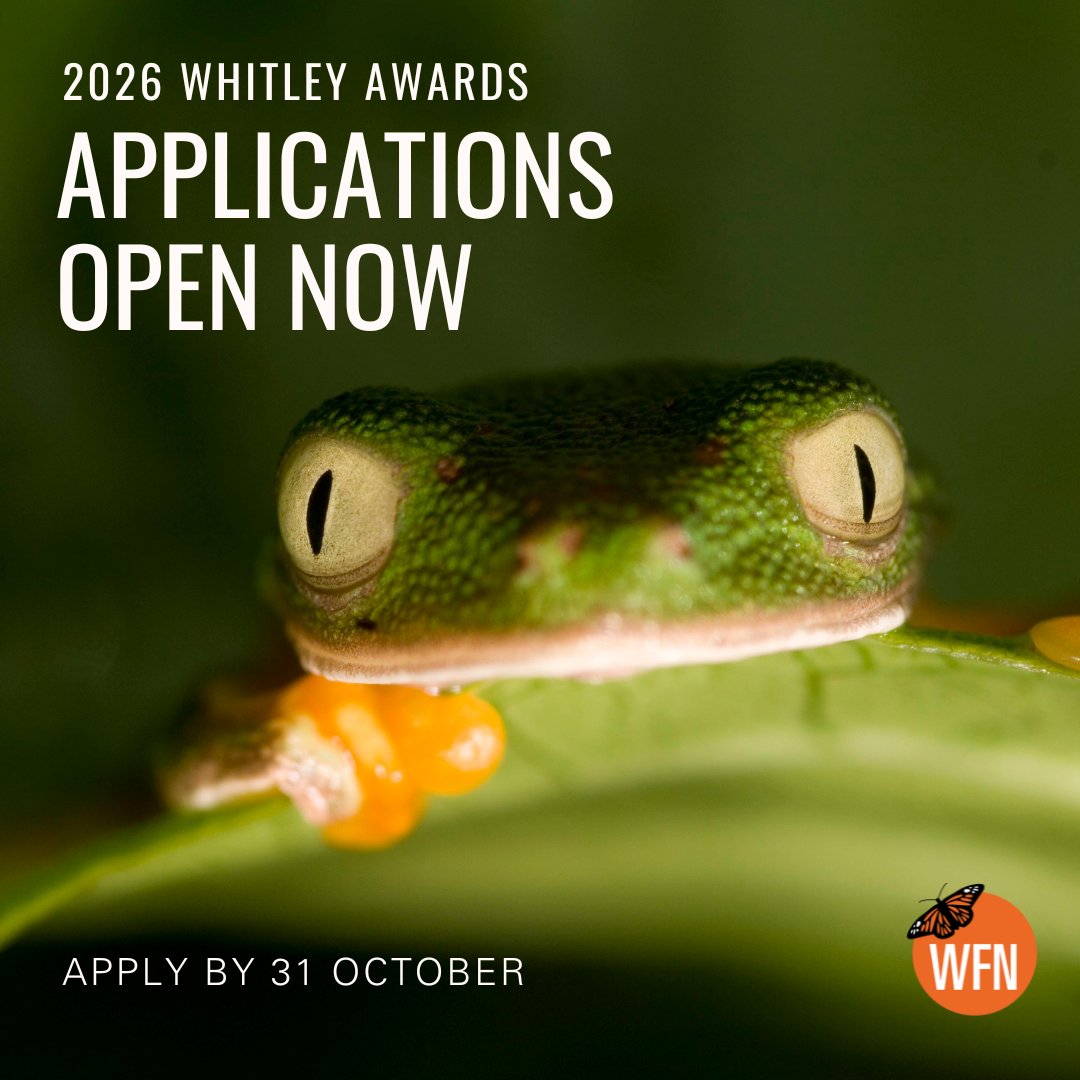 Whitley Fund for Nature (@whitleyawards) on Twitter photo Applications for the #WhitleyAwards 2026 are OPEN 🎉
These aren't just grants – they're career changers. 🧵
 👇 Here's what winners get: Applications for the #WhitleyAwards 2026 are OPEN 🎉
These aren't just grants – they're career changers. 🧵
 👇 Here's what winners get: